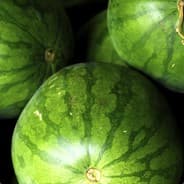 Melon Milk