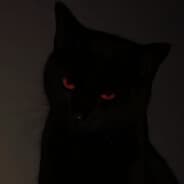 ZGᕼYᑕᕼI Gᑌᑎ デモを