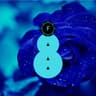 Frozty