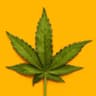 Hello. I’m stoned.