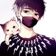 Animesnik assassin