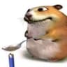Scotin