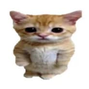 kokodjambo( ͠° ͟ل͜ ͡°)