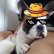JuusonatoR
