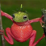 xREDxFROGx