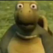 deN` turTle