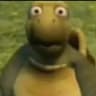 deN` turTle