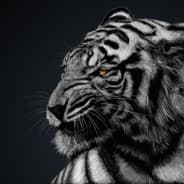 Enigma