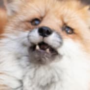 LuckyPantsUwU