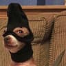 Street dog thug life™