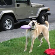 bad at life