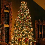 christmas tree