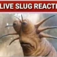 Live Slug Reaction