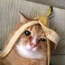 Greku