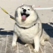 xyz
