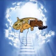 Skyarin