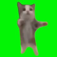 happy cat meme