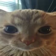 pablo
