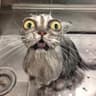 CATAHA