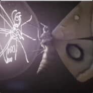 darkmoth