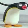 Pingu