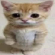 MyiL