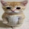 MyiL