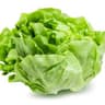 Lettuce
