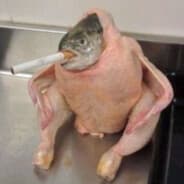 fish