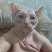 animal