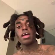 yak