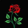 obscure_rose