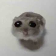hamster kombat WW