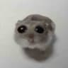 hamster kombat WW