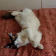 LukZ ★ ★ ★