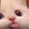mleh