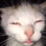 whyywant