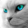 Frown@oseron