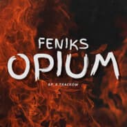 FeNikS™