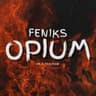 FeNikS™