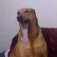 nob