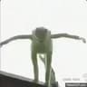 Kermit the suicidal Frog