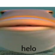 Helo