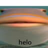 Helo