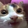 you stink