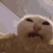 yuh