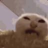 yuh
