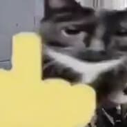 notJezzie