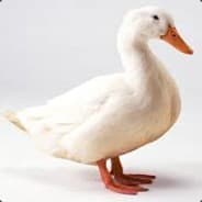 Jae #Duck