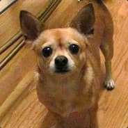 Player Juan